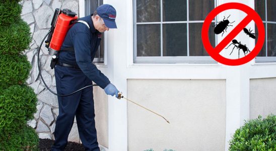 Adapazarı Uçan Haşere İlaçlama böcek ilaçlama ve haşere kontrolü — ilaclama-tr.com
